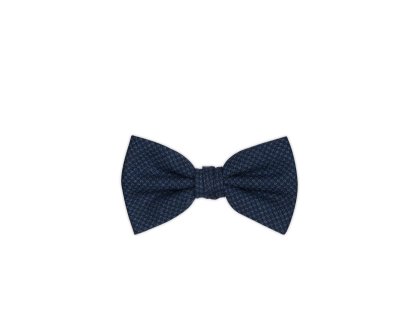 Pánský motýlek BANDI, model TALLINI 01