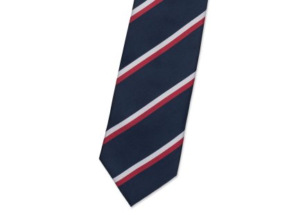 Pánská kravata BANDI, model REPUBLICA 01