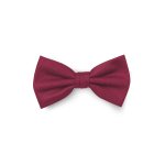 Pánský motýlek BANDI, model CASIO 03