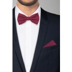 Pánský motýlek BANDI, model CASIO 03