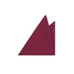 Pánský motýlek BANDI, model CASIO 03