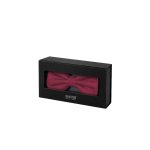 Pánský motýlek BANDI, model CASIO 03