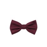 Pánský motýlek BANDI, model CASIO 04