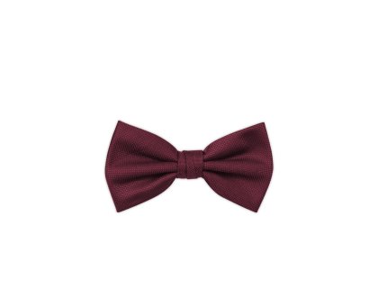 Pánský motýlek BANDI, model CASIO 04