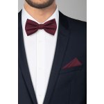 Pánský motýlek BANDI, model CASIO 04