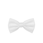 Pánský motýlek BANDI, model CASIO 01