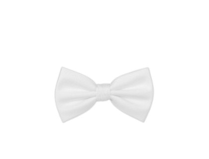 Pánský motýlek BANDI, model CASIO 01