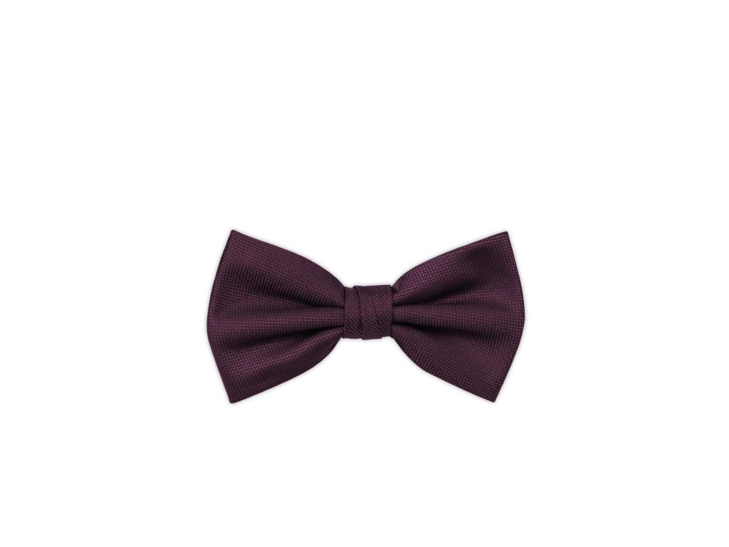 Pánský motýlek BANDI, model CASIO 05