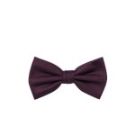 Pánský motýlek BANDI, model CASIO 05