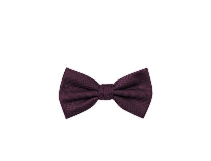 Pánský motýlek BANDI, model CASIO 05