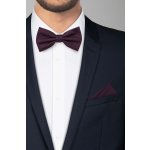 Pánský motýlek BANDI, model CASIO 05