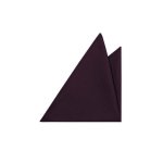 Pánský motýlek BANDI, model CASIO 05