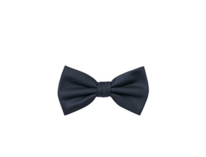 Pánský motýlek BANDI, model CASIO 08