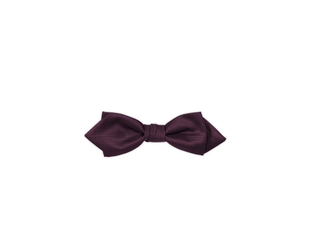 Pánský motýlek BANDI, model CASIO slim 05