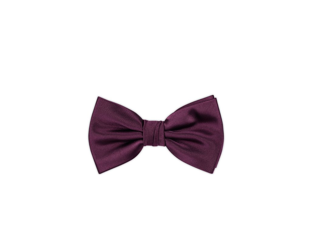 Pánský motýlek BANDI, model GALLA 05