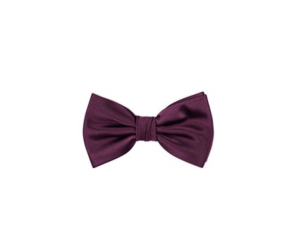 Pánský motýlek BANDI, model GALLA 05