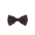 Pánský motýlek BANDI, model CASIO 23