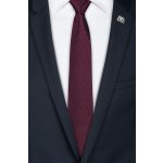 Pánský hedvábný kravatový set BANDI, model ERNEZZO Regular