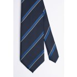 Pánská kravata BANDI, model CLAUDO 02
