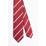 Pánská kravata BANDI, model DUARTE slim 04