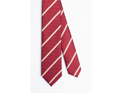 Pánská kravata BANDI, model DUARTE slim 04