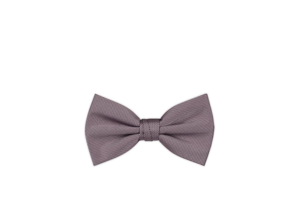 Pánský motýlek BANDI, model CASIO 22