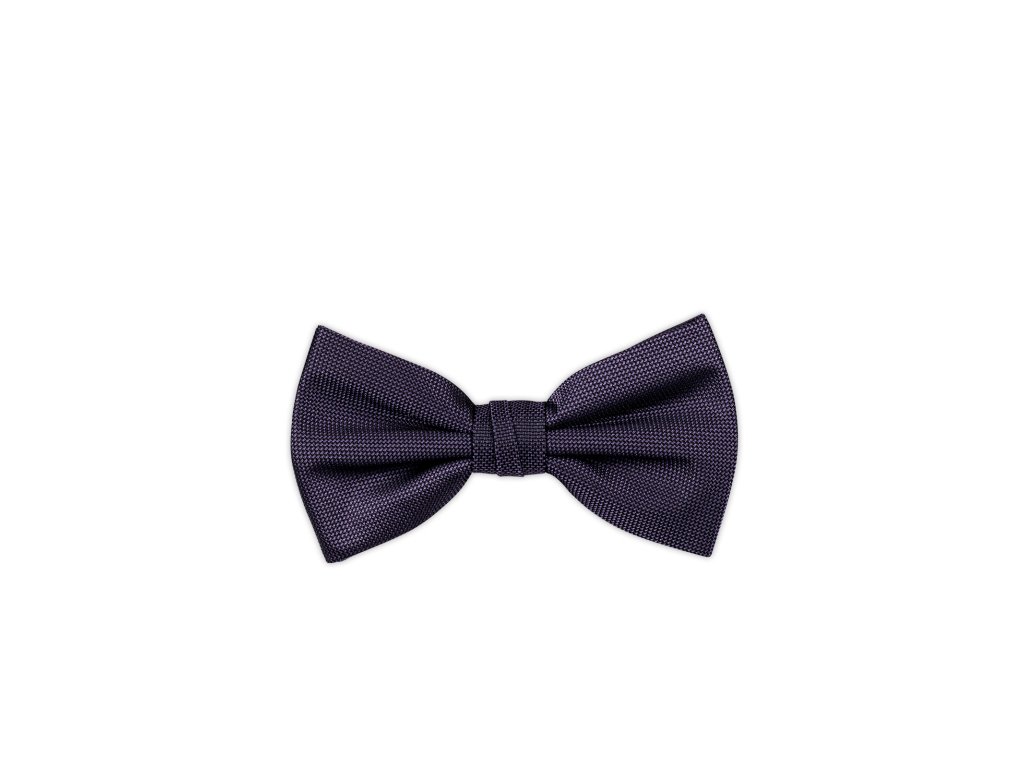 Pánský motýlek BANDI, model CASIO 19