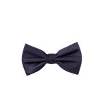 Pánský motýlek BANDI, model CASIO 19