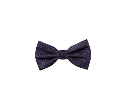 Pánský motýlek BANDI, model CASIO 19