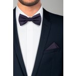 Pánský motýlek BANDI, model CASIO 19