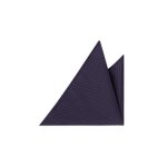 Pánský motýlek BANDI, model CASIO 19