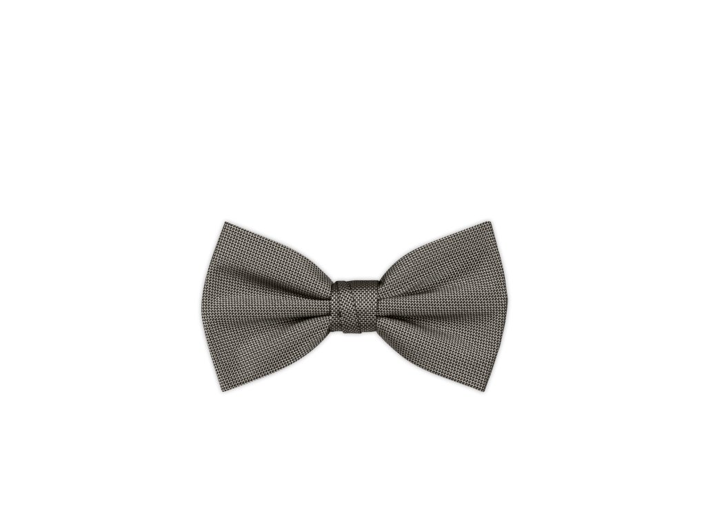 Pánský motýlek BANDI, model CASIO 13