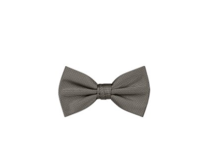 Pánský motýlek BANDI, model CASIO 13