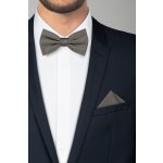 Pánský motýlek BANDI, model CASIO 13