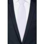 Pánská kravata BANDI, model CASIO 20