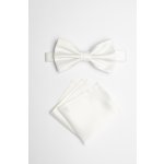 Pánský motýlek BANDI, model GALLA 02