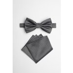 Pánský motýlek BANDI, model VALENTE 05