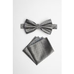 Pánský motýlek BANDI, model SILVERO 02