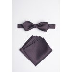 Pánský motýlek BANDI, model ALQUEZ slim 03