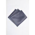 Pánský kapesníček BANDI, model ALQUEZ 06