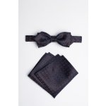 Pánský motýlek BANDI, model MONSANO slim 03