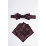 Pánský motýlek BANDI, model SILVERO slim 01