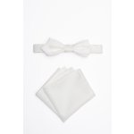 Pánský motýlek BANDI, model CASIO slim 02