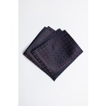 Pánský kapesníček BANDI, model MONSANO 03