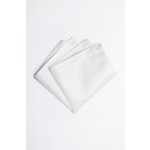 Pánský kapesníček BANDI, model CASIO 01