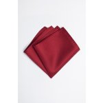 Pánský kapesníček BANDI, model CASIO 03