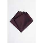 Pánský kapesníček BANDI, model CASIO 05