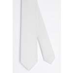 Pánská kravata BANDI, model GALLA slim 23