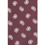 Pánská kravata BANDI, model PAISIO 03