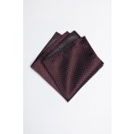 Pánský kapesníček BANDI, model MARTIM 11